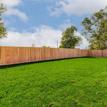 414 TX Ave otherbackyard